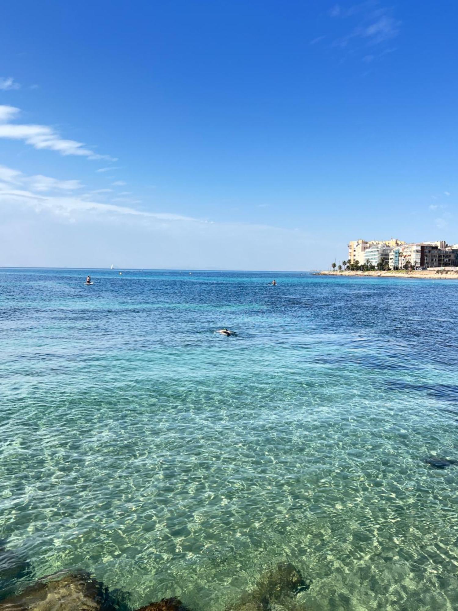 Renovated Cosy Studio 350 M Playa Del Cura, With Official Touristic License Τορεβιέχα Εξωτερικό φωτογραφία